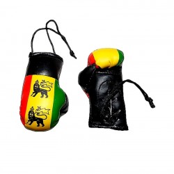Mini gants de boxe Rasta Lion de Judah