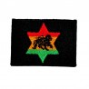 Patch Lion étoile