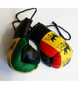 Paire de mini gants de boxe Lion Rasta