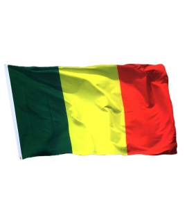 Beau drapeau du Mali