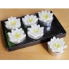 Boite 6 petites bougies fleurs blanches