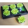 Boite 6 petites bougies fleurs vertes
