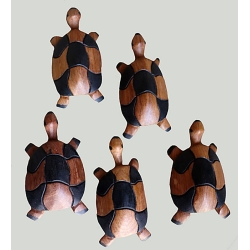 Famille de 5 tortues en bois