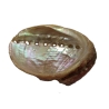 Coquille d' ormeau pour fumigation