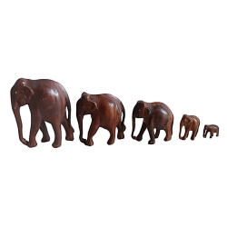 Famille de cinq elephants
