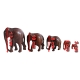 Famille de cinq elephants Cameroun
